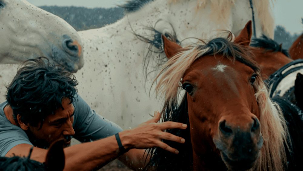 afial-rms-proaudio-meyer-sound-fillos-do-vento-a-rapa Fillos do Vento: A Rapa: la inmersión cinematográfica que aterriza desde Cannes a Sevilla potenciada por Meyer Sound