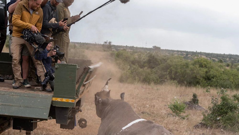 afial-magnetron-sennheiser-rhino-kenia Rhino: elevando la narrativa con Sennheiser, en el corazón de la naturaleza salvaje de Kenia