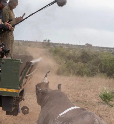 afial-magnetron-sennheiser-rhino-kenia Rhino: elevando la narrativa con Sennheiser, en el corazón de la naturaleza salvaje de Kenia